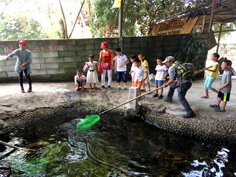 2017073152520329.jpg 2017073152520329.jpg