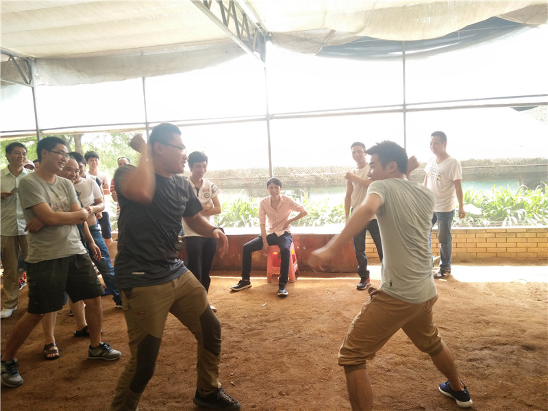 QQ圖片20170826154426.jpg QQ圖片20170826154426.jpg