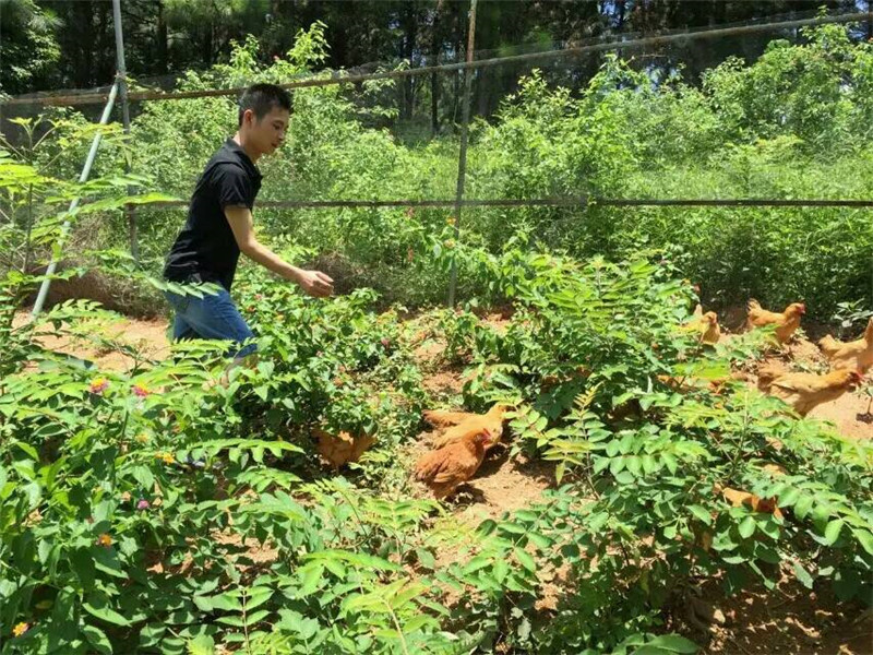 微信圖片_20170608092804.jpg 微信圖片_20170608092804.jpg