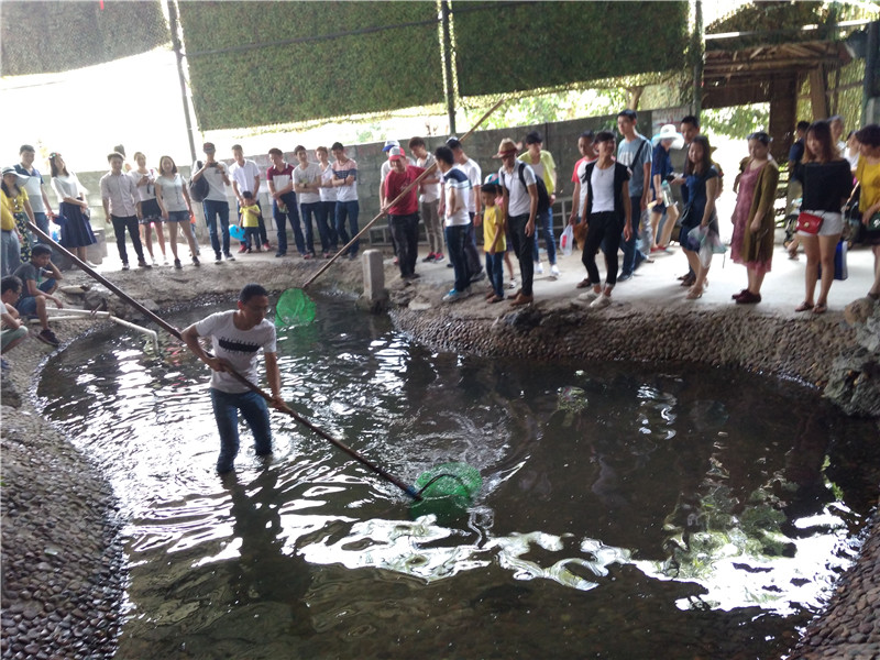 IMG_20170501_114744.jpg IMG_20170501_114744.jpg