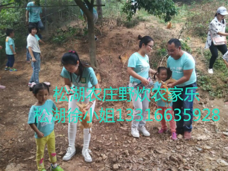 上山抓雞_副本_副本.jpg 上山抓雞_副本_副本.jpg