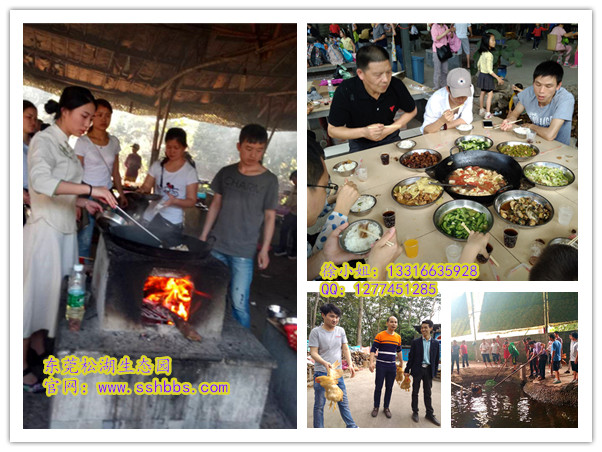 野炊_副本.jpg 野炊_副本.jpg