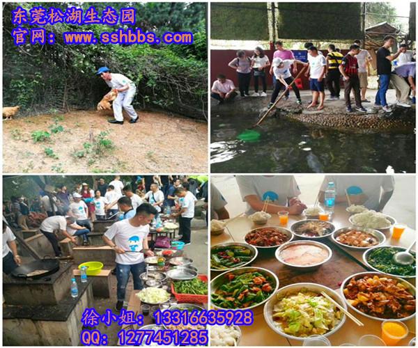 野炊 (5)_副本.jpg 野炊 (5)_副本.jpg