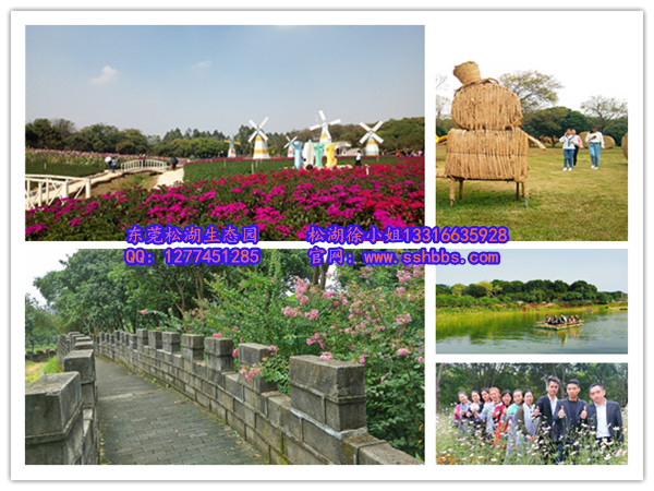 游園觀景_副本.jpg 游園觀景_副本.jpg