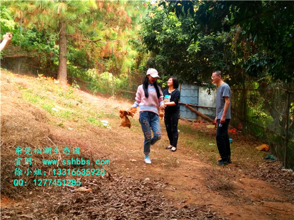 QQ圖片20171206095321_副本_副本.jpg QQ圖片20171206095321_副本_副本.jpg