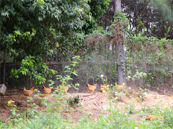 微信圖片_20170928115008.jpg 微信圖片_20170928115008.jpg