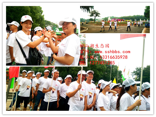 尋寶-副本.jpg 尋寶-副本.jpg